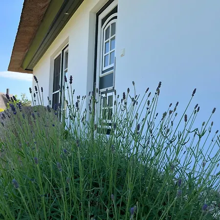 Sorgenfrei Tatil Evi